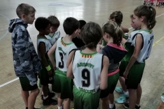 premini-I